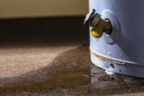 Sewage cleanup and water damage restoration in NJ