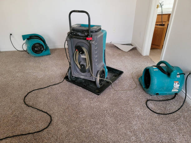 Best Water damage restoration experts  in Cranford, NJ