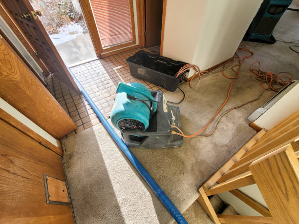 Best 24-hour water damage restoration  in Cranford, NJ