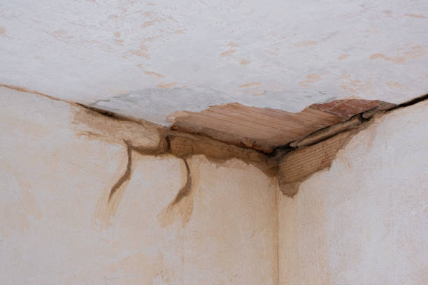  Cranford, NJ Water damage restoration Pros