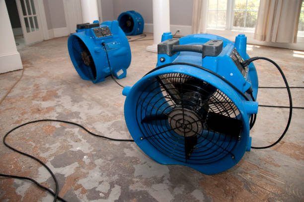 Best Flood restoration services  in Cranford, NJ