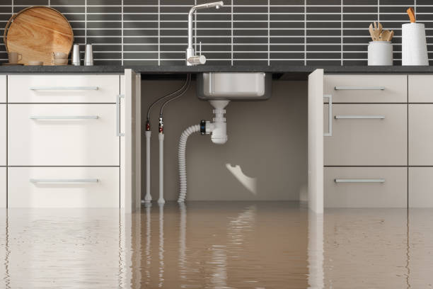 Best Flood damage cleanup  in Cranford, NJ