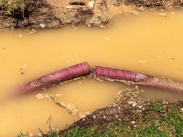 Best Water damage restoration insurance claims  in Cranford, NJ