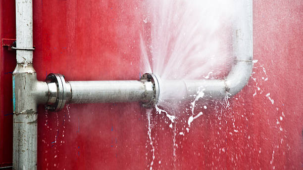 Best Water damage repair service  in Cranford, NJ